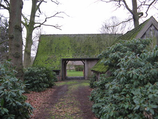 mainimage