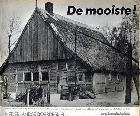 mainimage