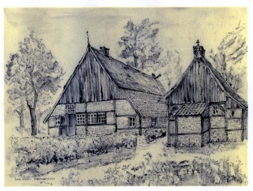 mainimage