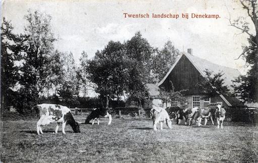 mainimage