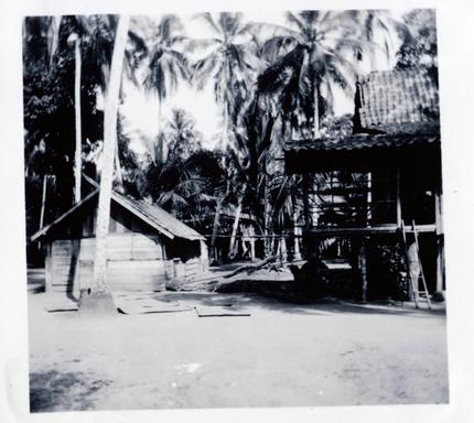 mainimage