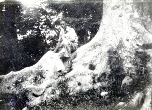 mainimage
