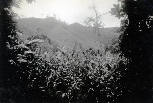 mainimage