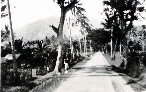 mainimage