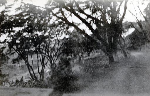 mainimage