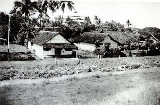 mainimage