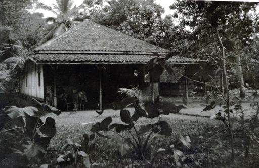 mainimage
