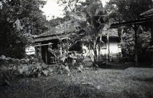 mainimage