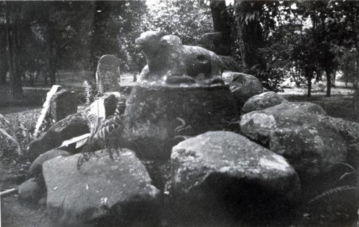 mainimage