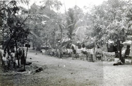 mainimage