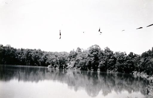 mainimage