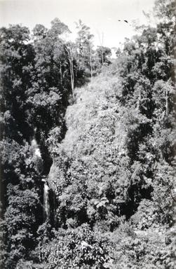mainimage