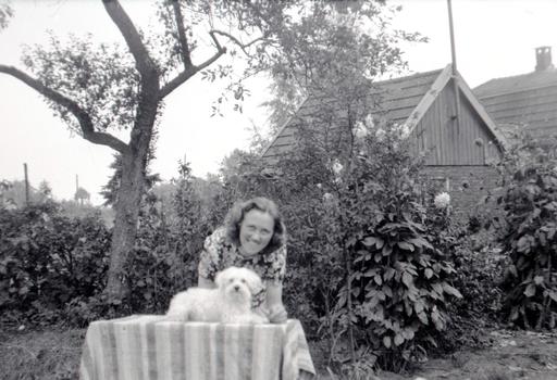 mainimage
