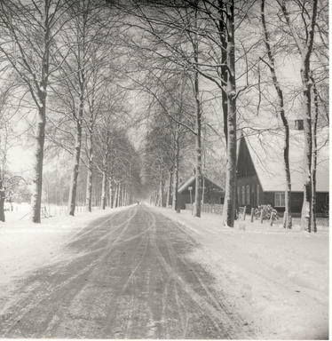 mainimage