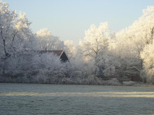 mainimage