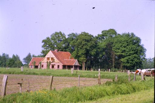 mainimage