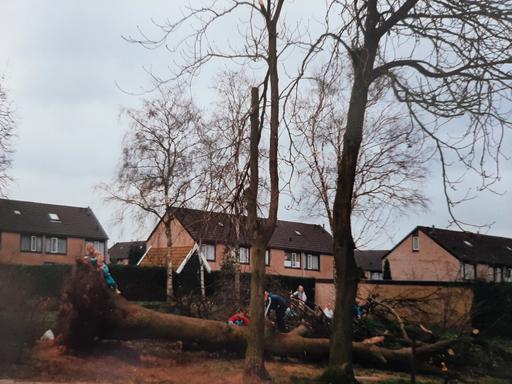 mainimage