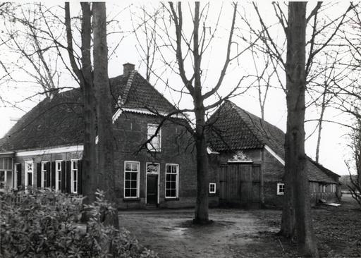 mainimage