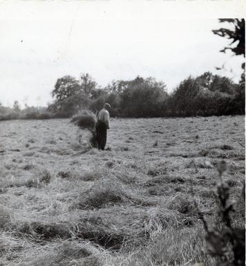 mainimage