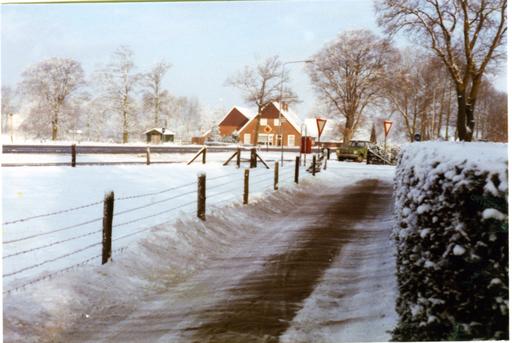 mainimage