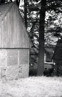 mainimage