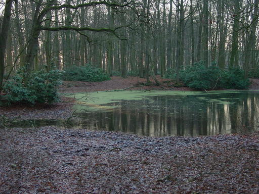 mainimage