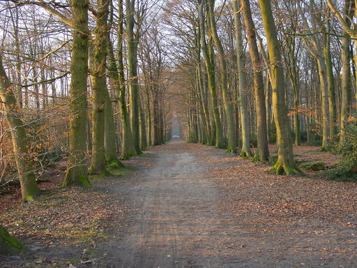 mainimage