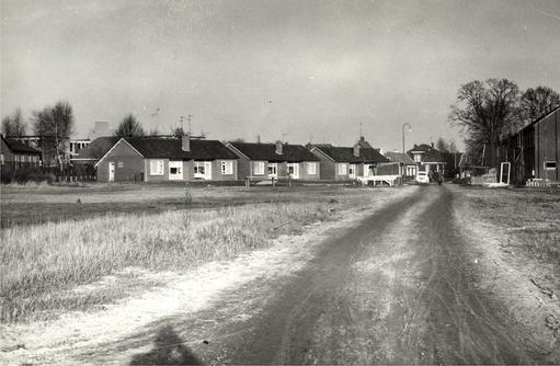 mainimage