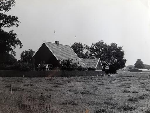 mainimage