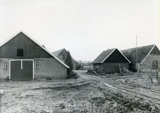mainimage