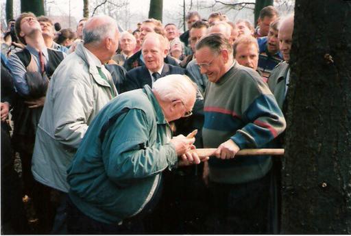 mainimage